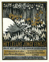 Het lelijke jonge eendje
